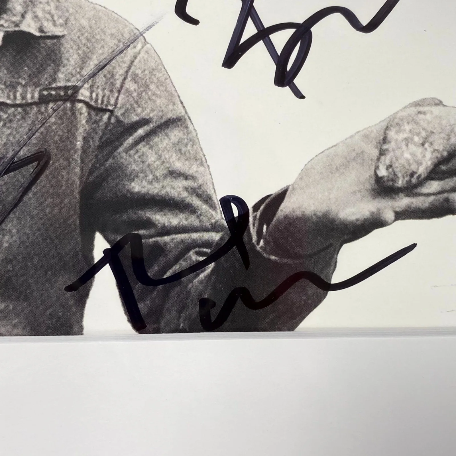 Green Day autograph signed Saviors CD Insert Armstrong Dirnt Cool ~ Beckett BAS, image 5