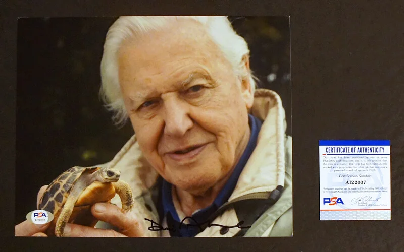 David Attenborough — *PSA/DNA Certified* - DAVID ATTENBOROUGH SIGNED 8x10 Color Photo!