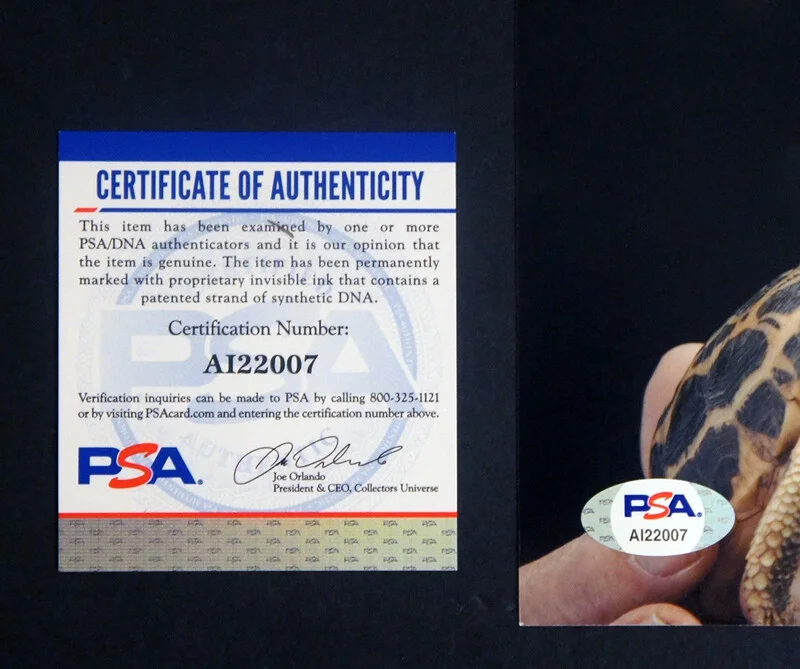 David Attenborough — *PSA/DNA Certified* - DAVID ATTENBOROUGH SIGNED 8x10 Color Photo!, image 3