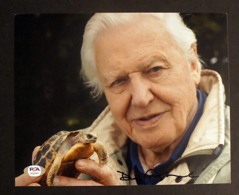 David Attenborough — *PSA/DNA Certified* - DAVID ATTENBOROUGH SIGNED 8x10 Color Photo!, image 4