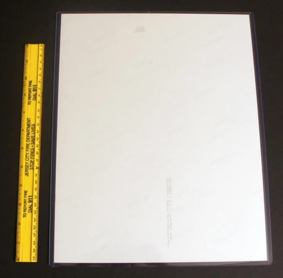 BECKETT Cert / DEBBIE HARRY SIGNED Huge 11x14 Photo (Blondie, Tide is High)!, изображение 5