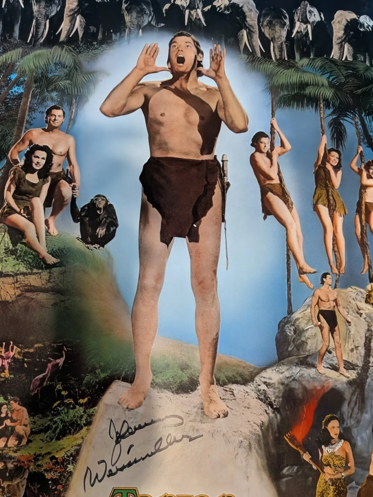 Johnny Weissmuller — Johnny Weissmuller Signed 24 X30 Poster,Pristine Condition Stephen Koschal COA, image 2