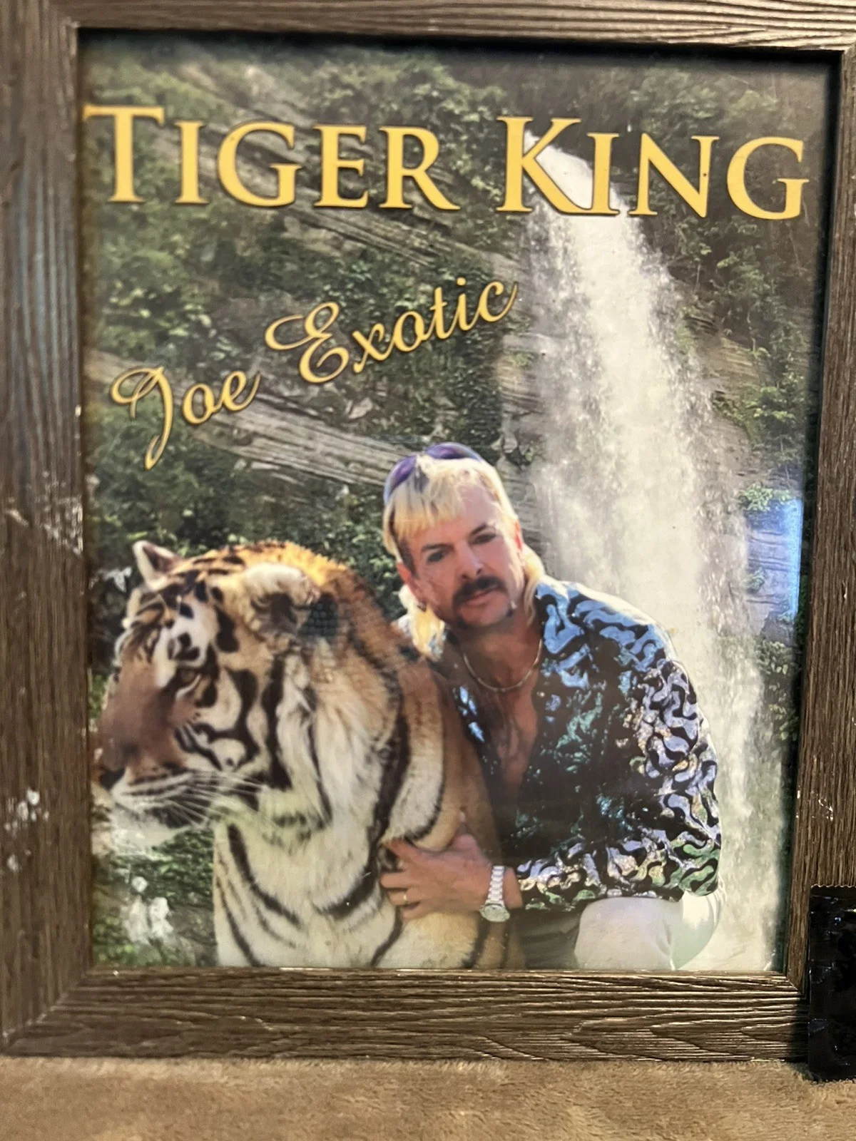 Tiger King Memorabilia Lot, 2 Framed 8’10 Photos And A Joe For President Condom, изображение 4