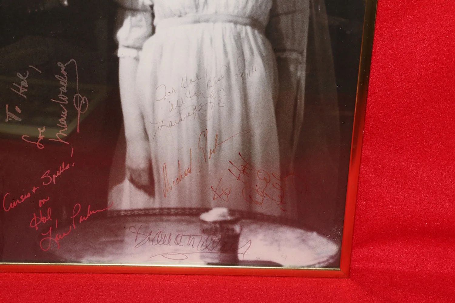Dark Shadows 30th Anniversary Cast Signed Autographed Poster Selby Stroka, image 3