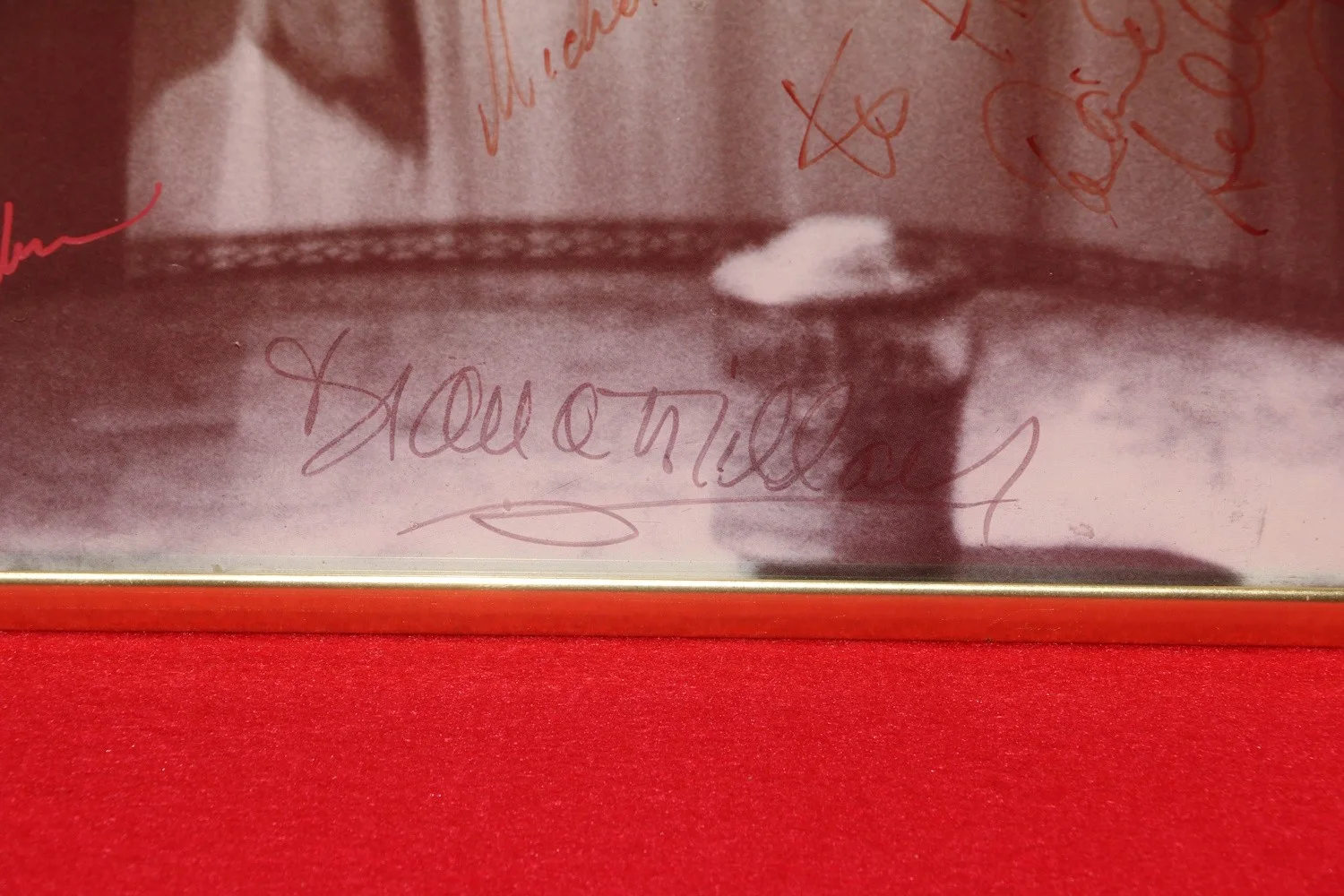 Dark Shadows 30th Anniversary Cast Signed Autographed Poster Selby Stroka, image 4