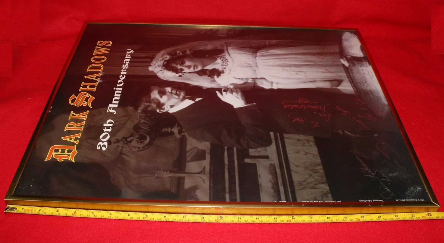 Dark Shadows 30th Anniversary Cast Signed Autographed Poster Selby Stroka, image 5