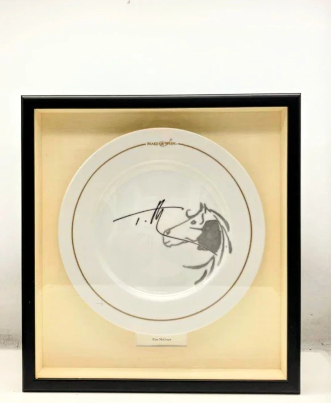 Rare Tim McGraw 17 x 16 Framed Make a Wish Plate Autographed Signed, image 3