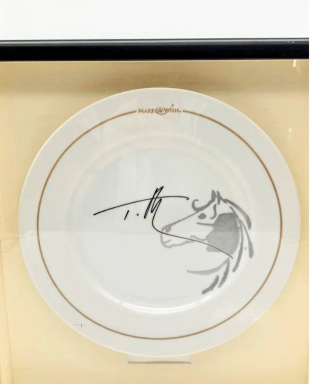 Rare Tim McGraw 17 x 16 Framed Make a Wish Plate Autographed Signed, image 4