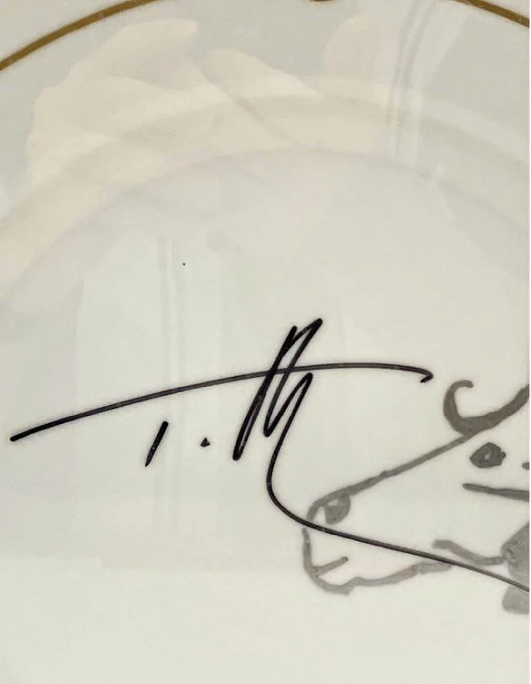 Rare Tim McGraw 17 x 16 Framed Make a Wish Plate Autographed Signed, image 5