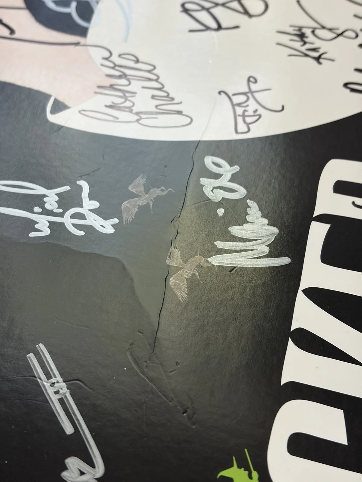 Many Signatures — Wicked The Musical OFFICIAL BROADWAY POSTER Autographed Signed 2013, image 4