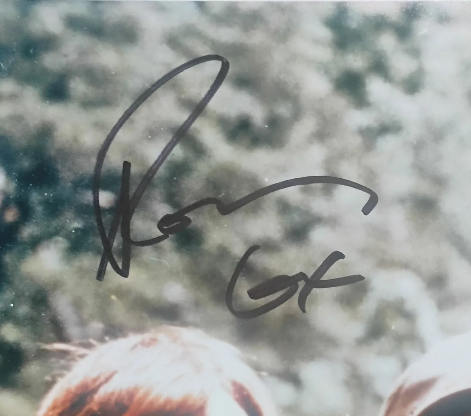 Deliverance Cast Signed 11x14 Photo COA Ronny Cox, Burt Reynolds NO US TARIFFS, image 5