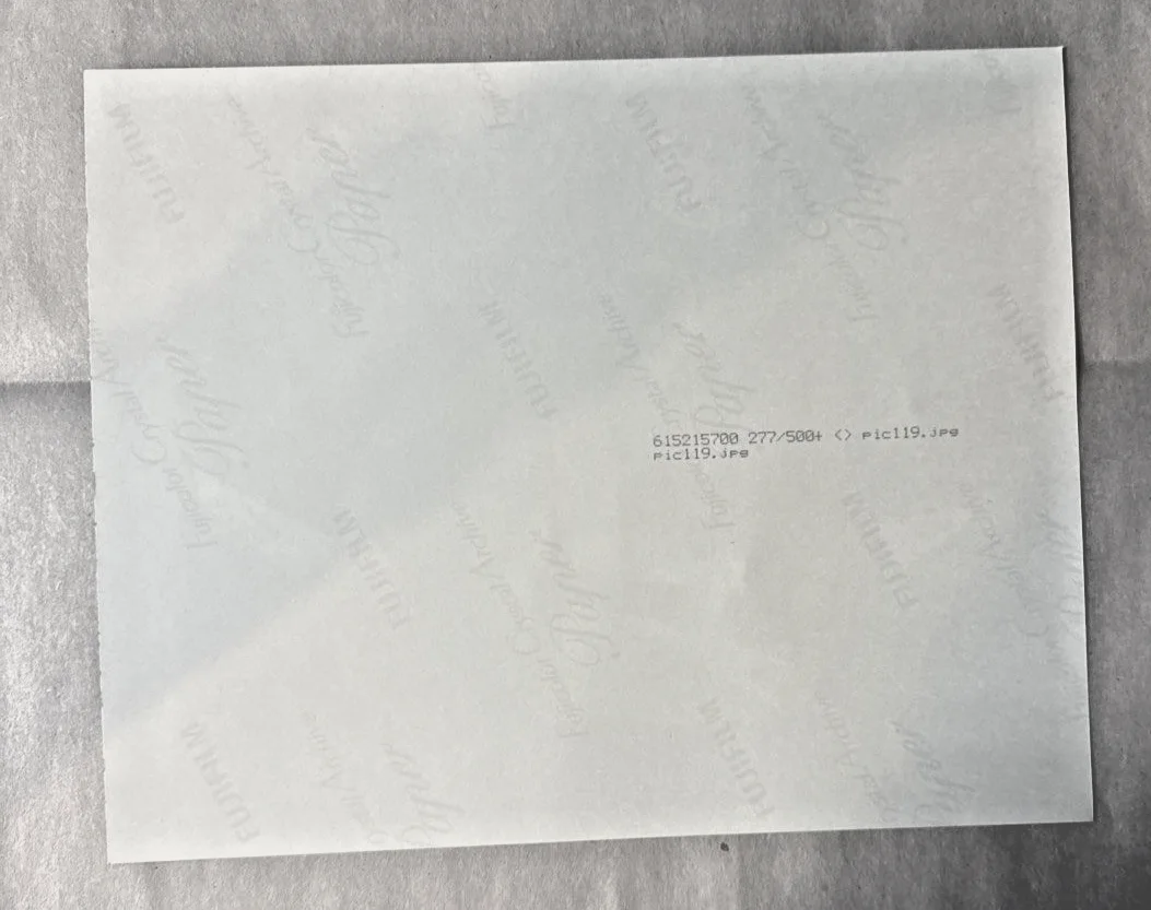 Buckethead Autographed 8x10 Photo Guns N Roses, изображение 2