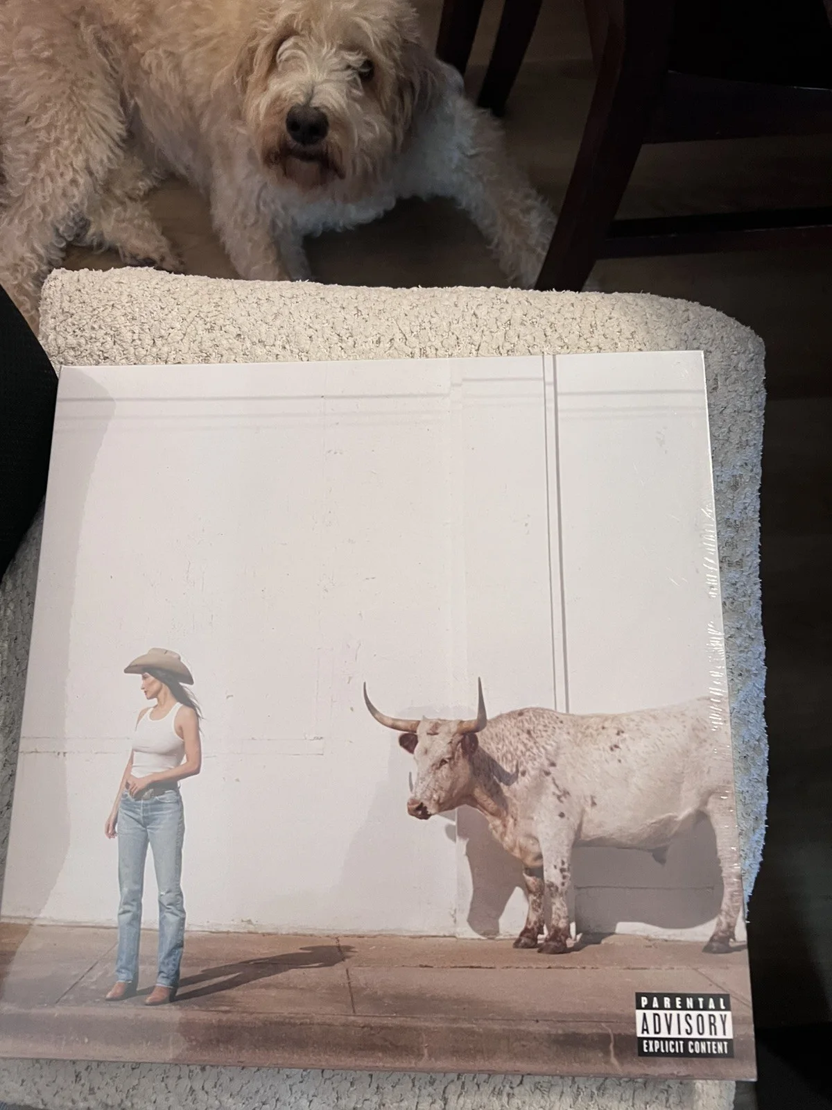 Kacey Musgraves Middle of Nowhere Vinyl LP INHAND SIGNED Whiskey Colored SEALED, image 3