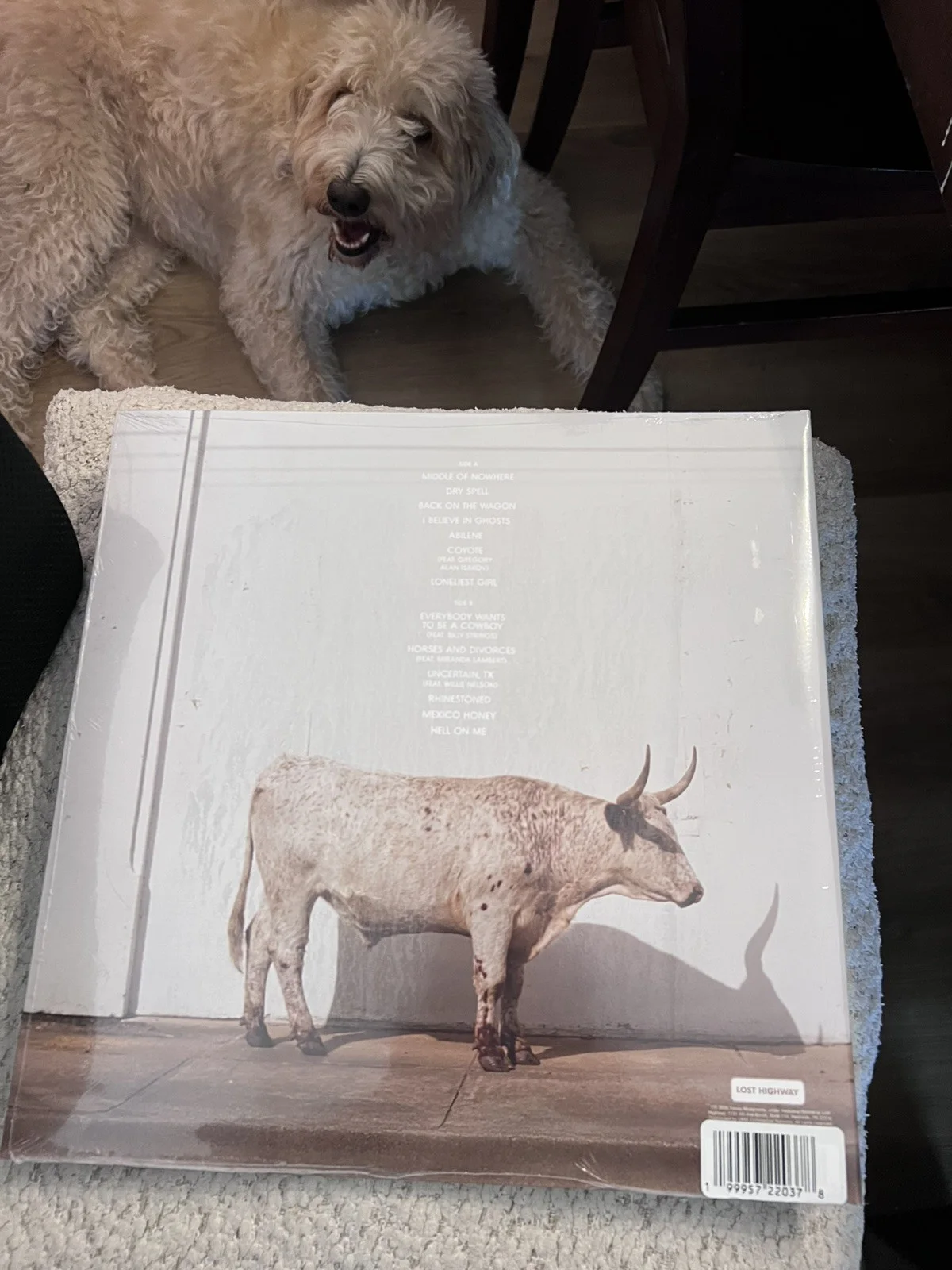 Kacey Musgraves Middle of Nowhere Vinyl LP INHAND SIGNED Whiskey Colored SEALED, image 4