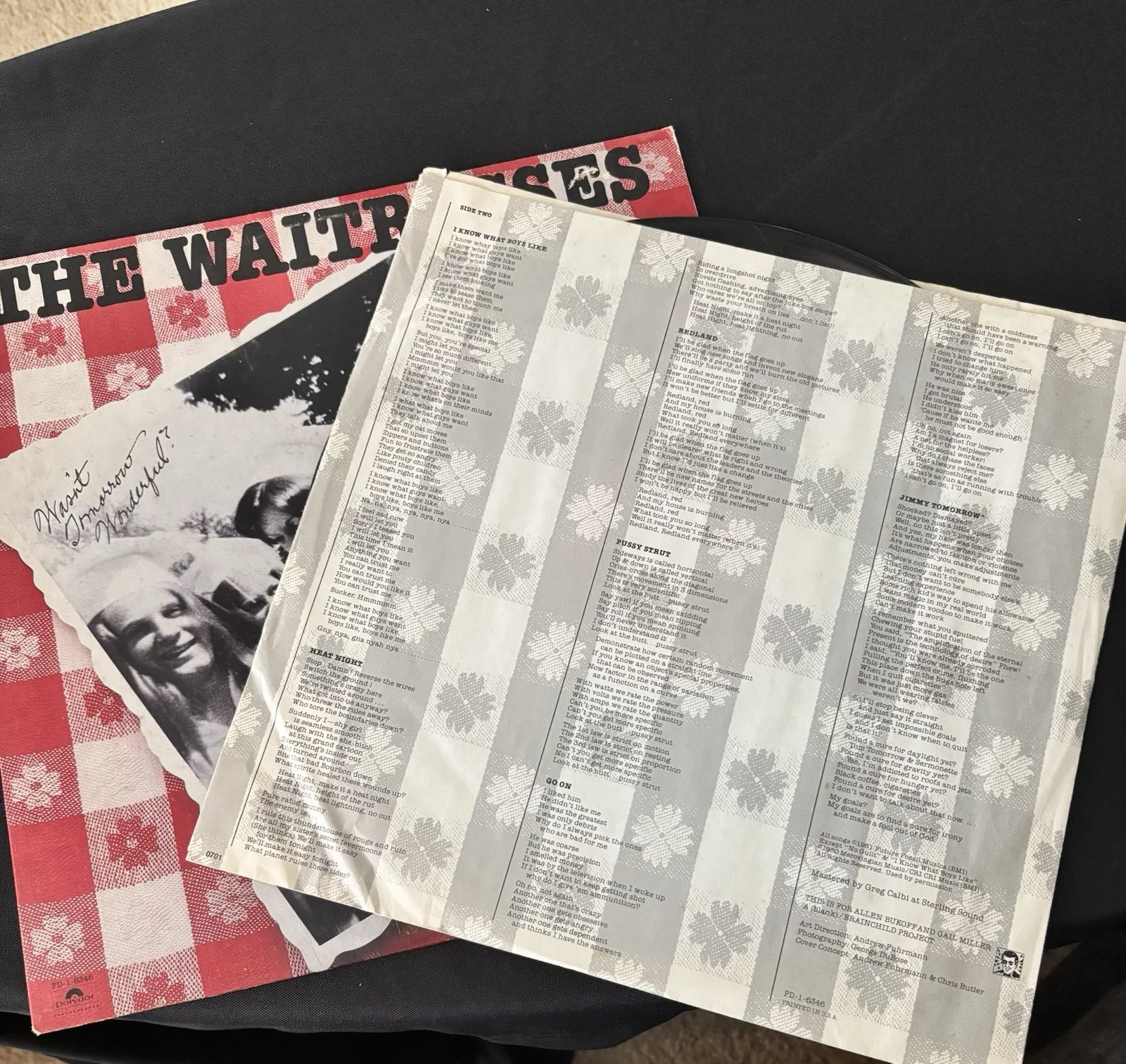 The Waitresses Wasn't Tomorrow Wonderful? Original LP Vinyl Record, изображение 2
