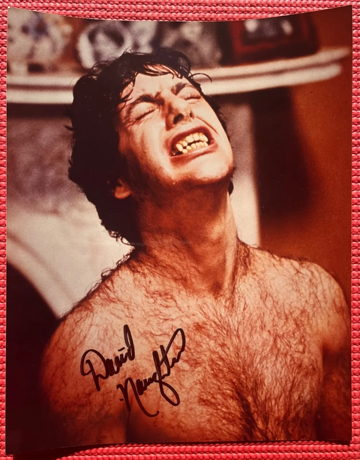 David Naughton — JSA autographed DAVID NAUGHTON signed "AN AMERICAN WEREWOLF IN LONDON" Photo, image 2