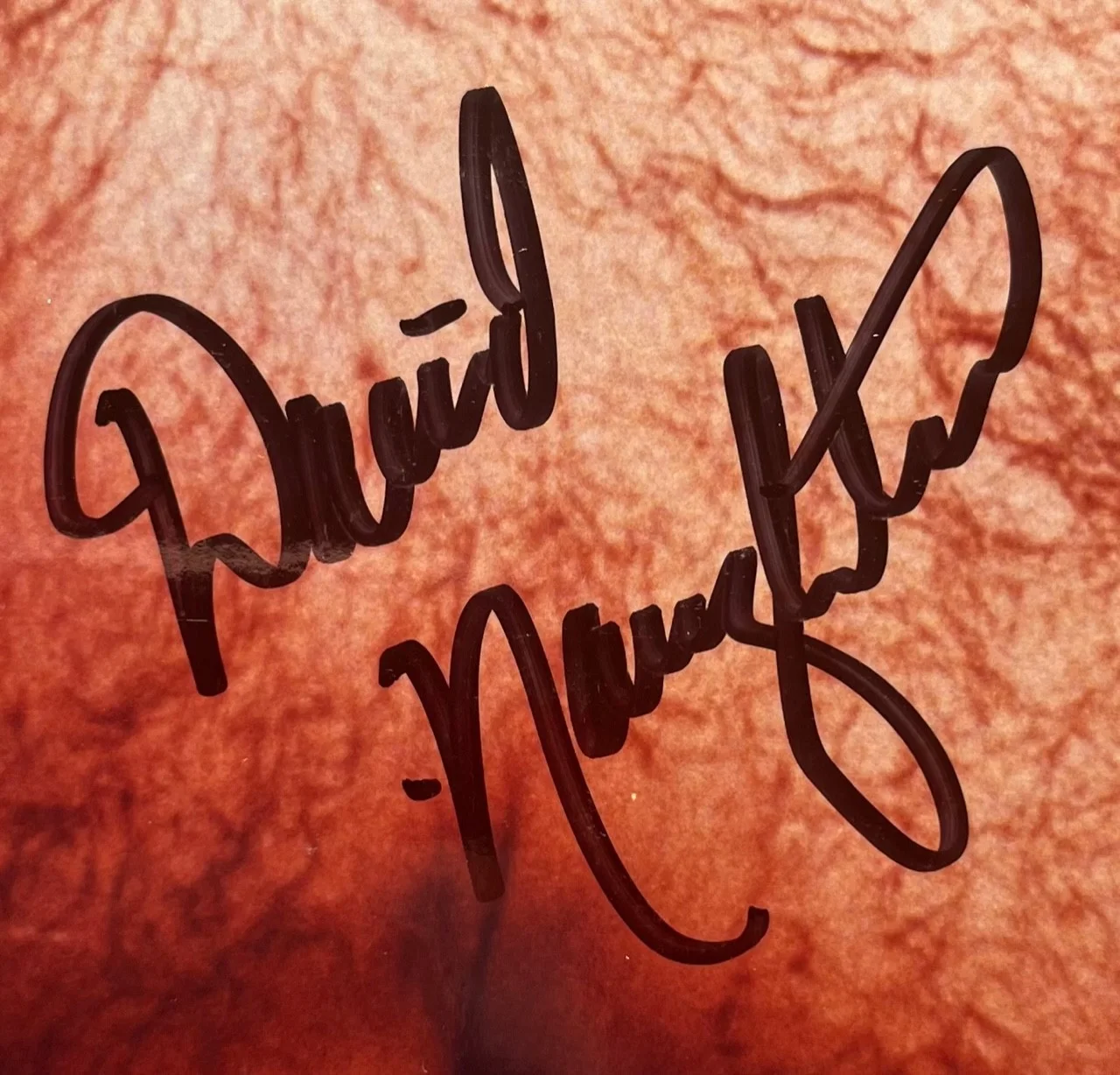 David Naughton — JSA autographed DAVID NAUGHTON signed "AN AMERICAN WEREWOLF IN LONDON" Photo, image 3