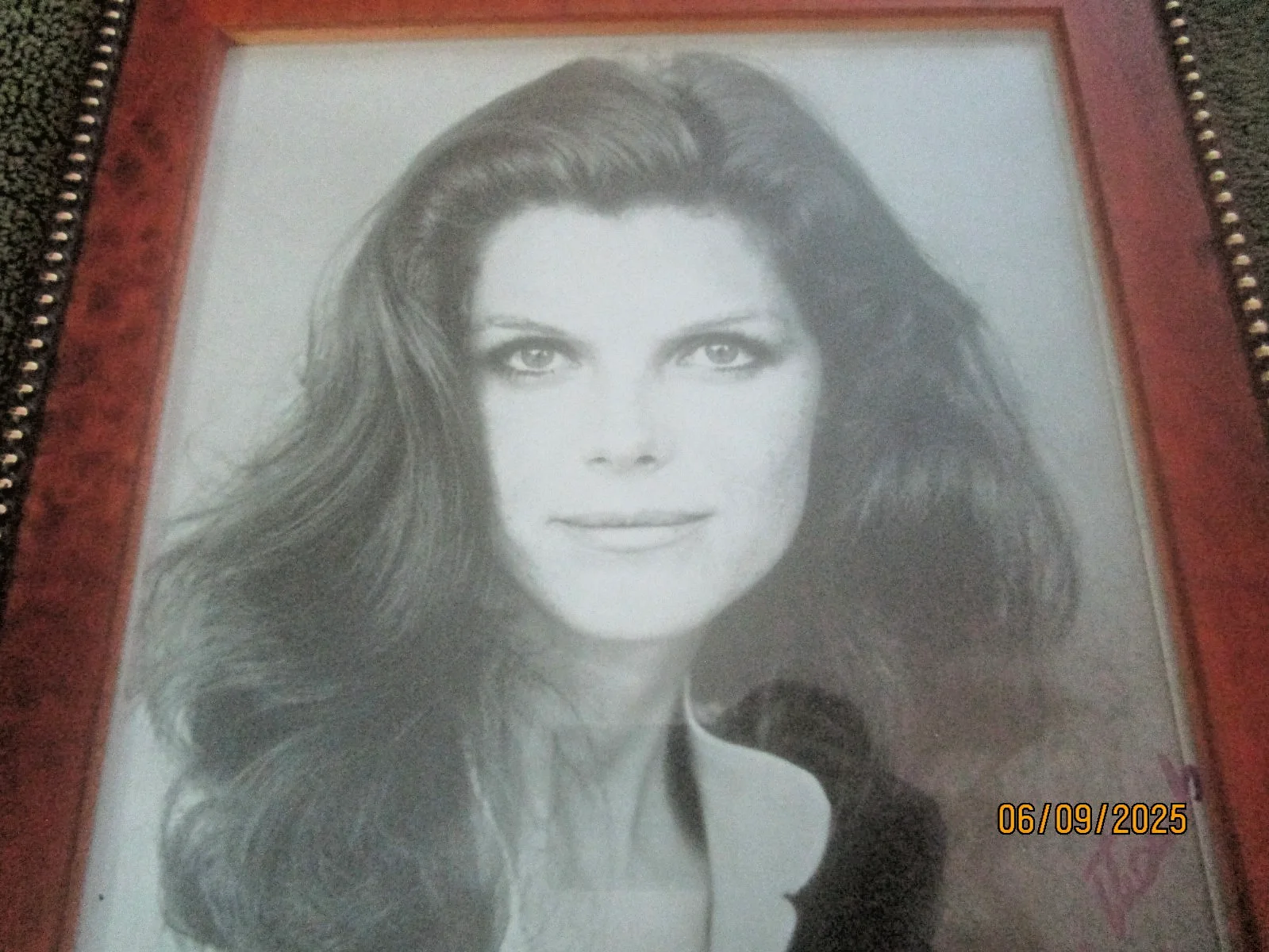 Samantha Eggar — SAMANTHA EGGAR GLAMOUR PHOTO, (signed, mint in lovely wooden frame), изображение 2