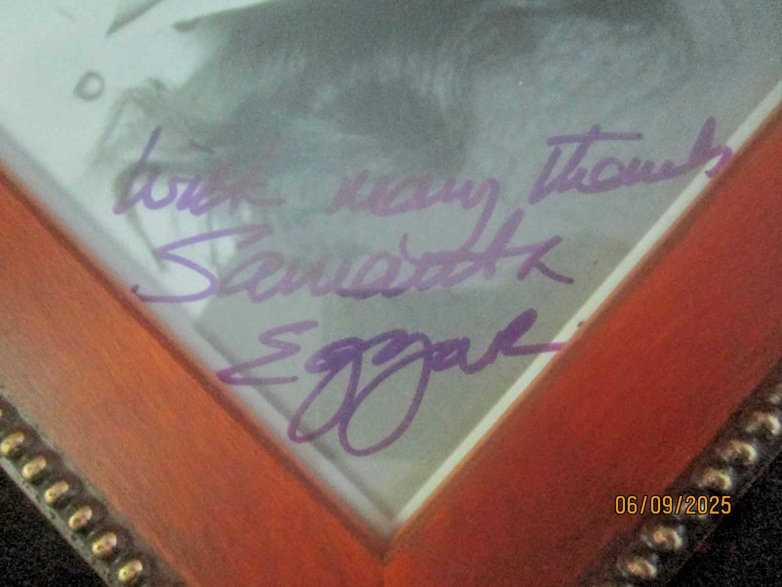 Samantha Eggar — SAMANTHA EGGAR GLAMOUR PHOTO, (signed, mint in lovely wooden frame), изображение 4