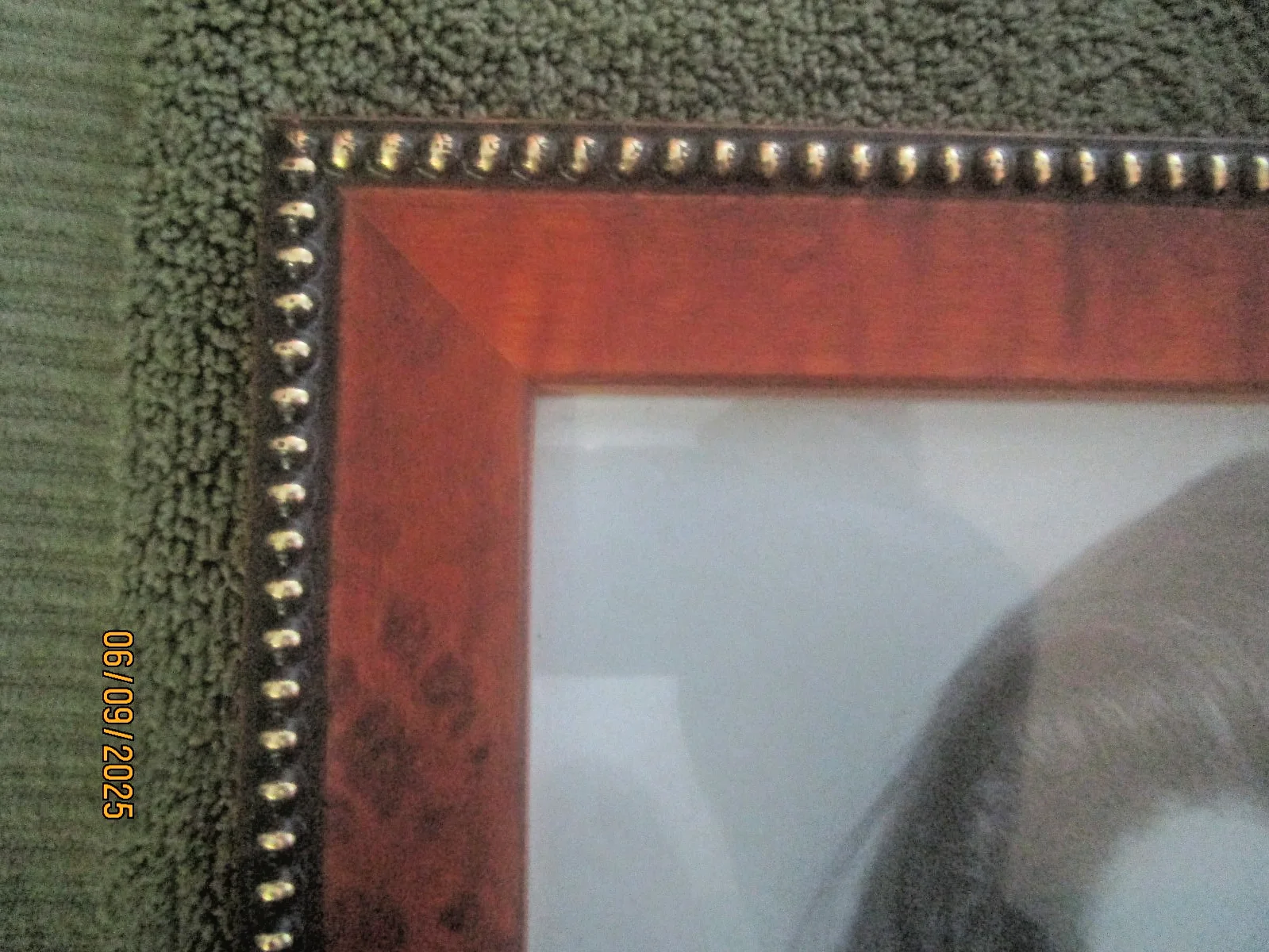 Samantha Eggar — SAMANTHA EGGAR GLAMOUR PHOTO, (signed, mint in lovely wooden frame), изображение 5