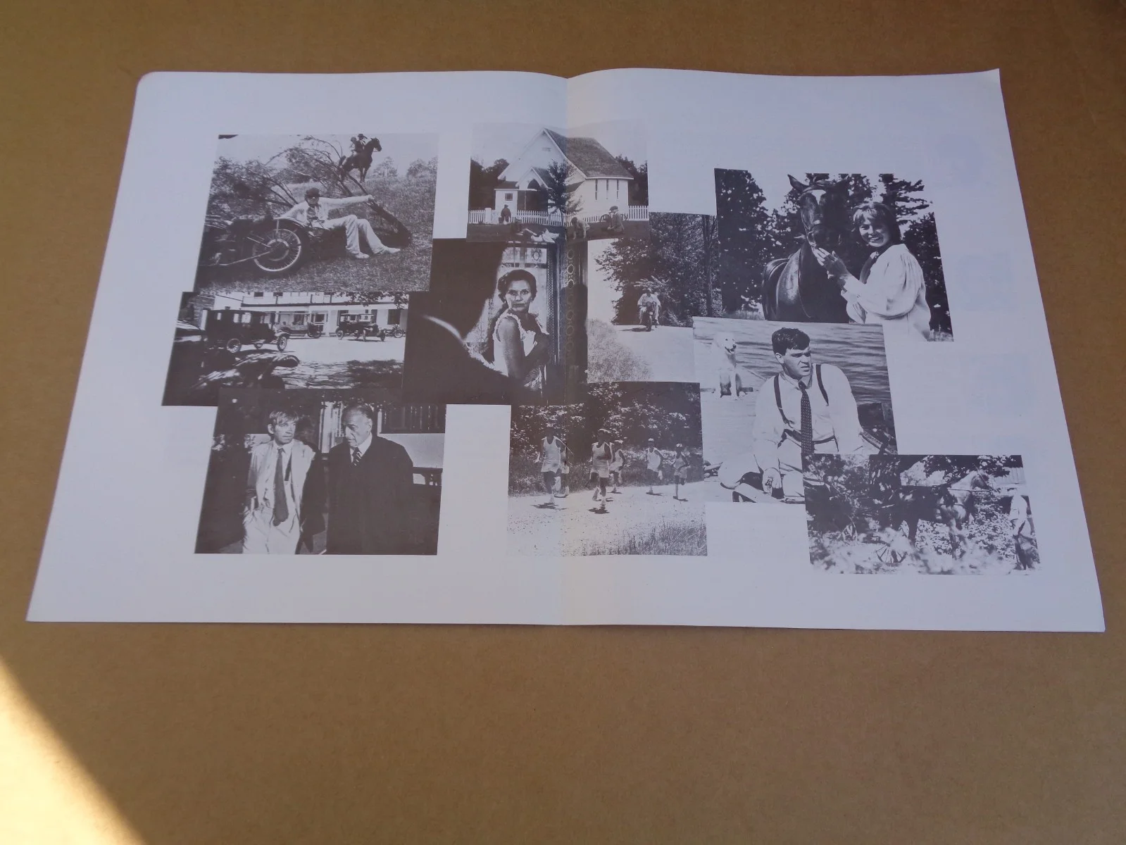 David Warner/Honor Blackman - Age Of Innocence - 1978 UK Film Brochure, изображение 2