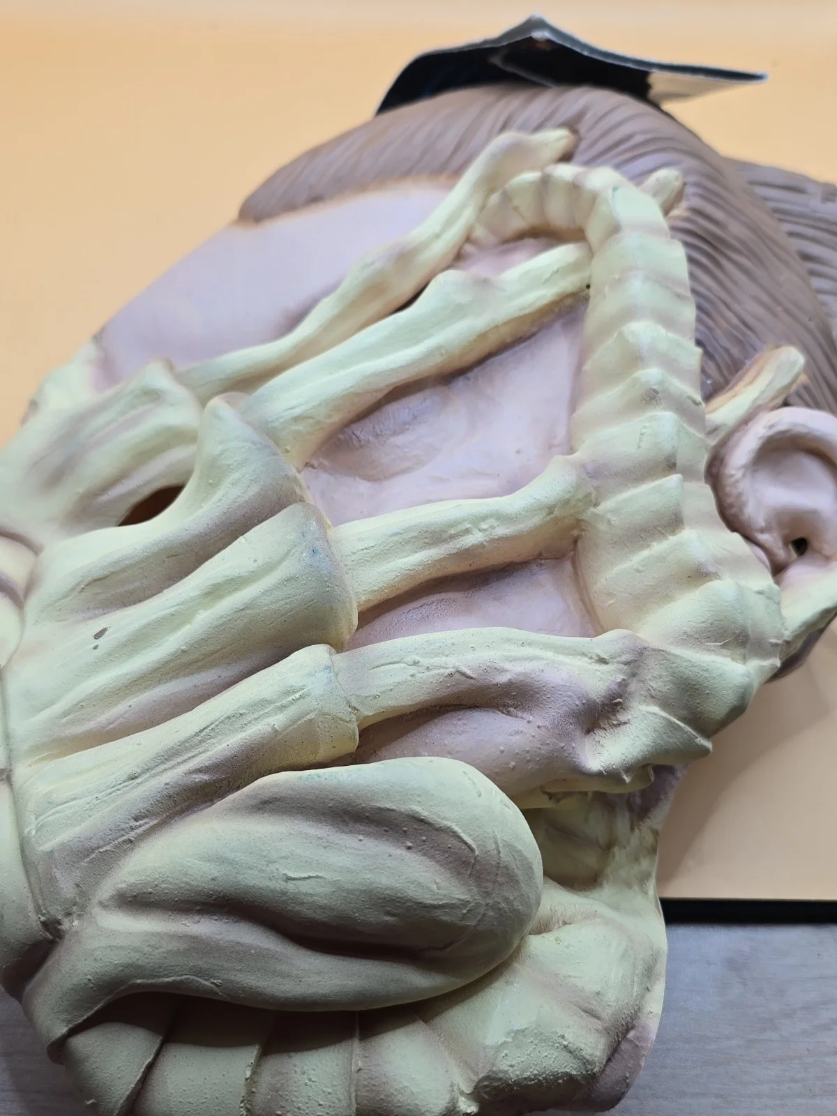 alien vs predator 2004 Face Hugger Full Head Mask On Card, image 2