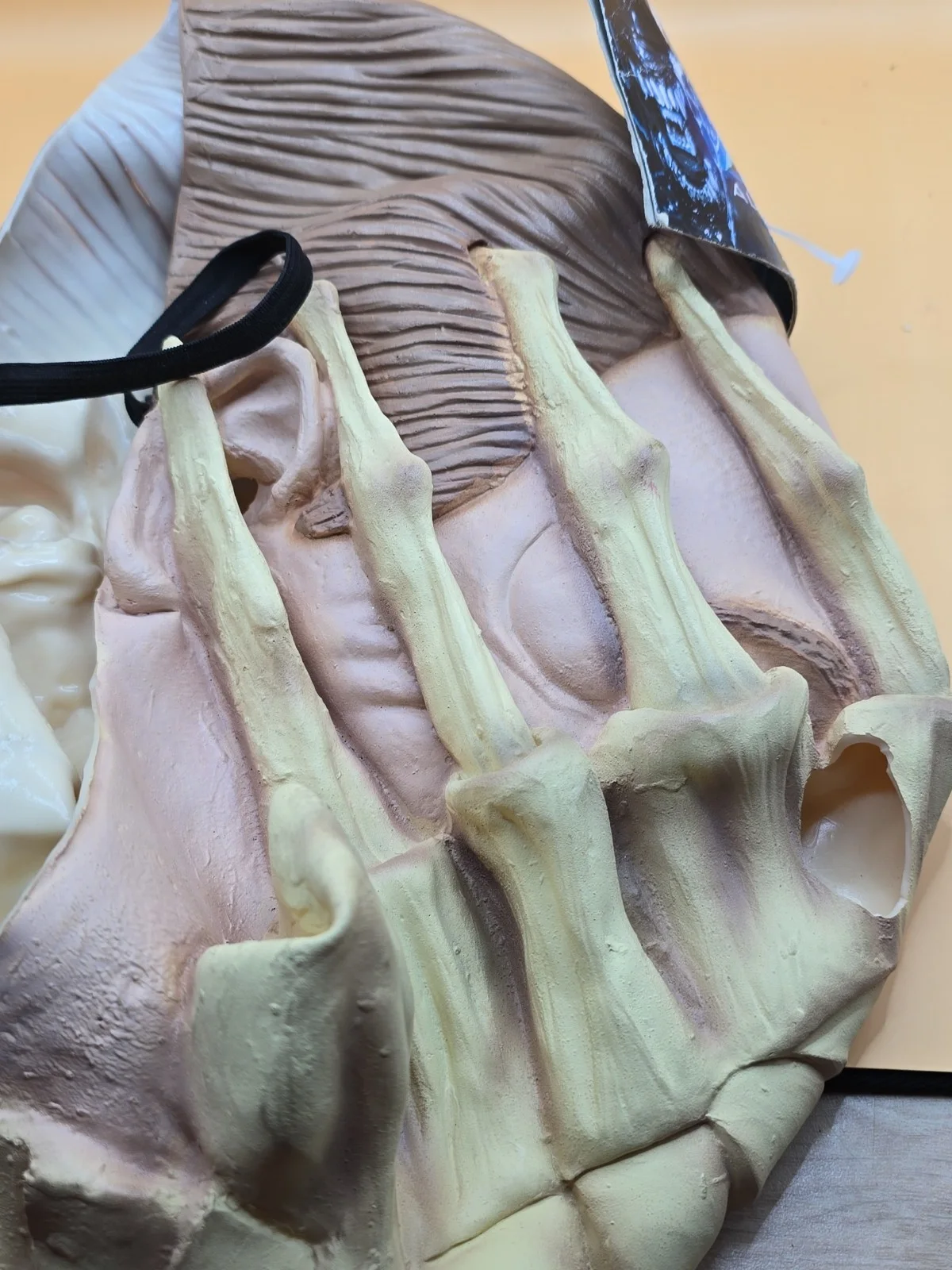 alien vs predator 2004 Face Hugger Full Head Mask On Card, image 3