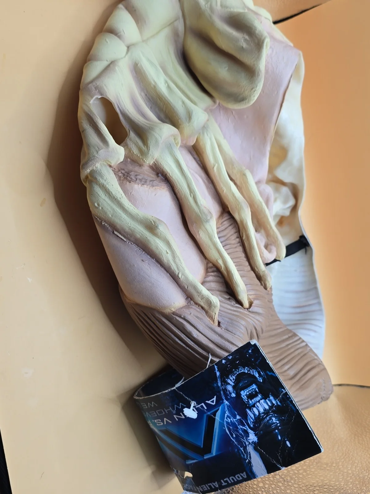 alien vs predator 2004 Face Hugger Full Head Mask On Card, image 4