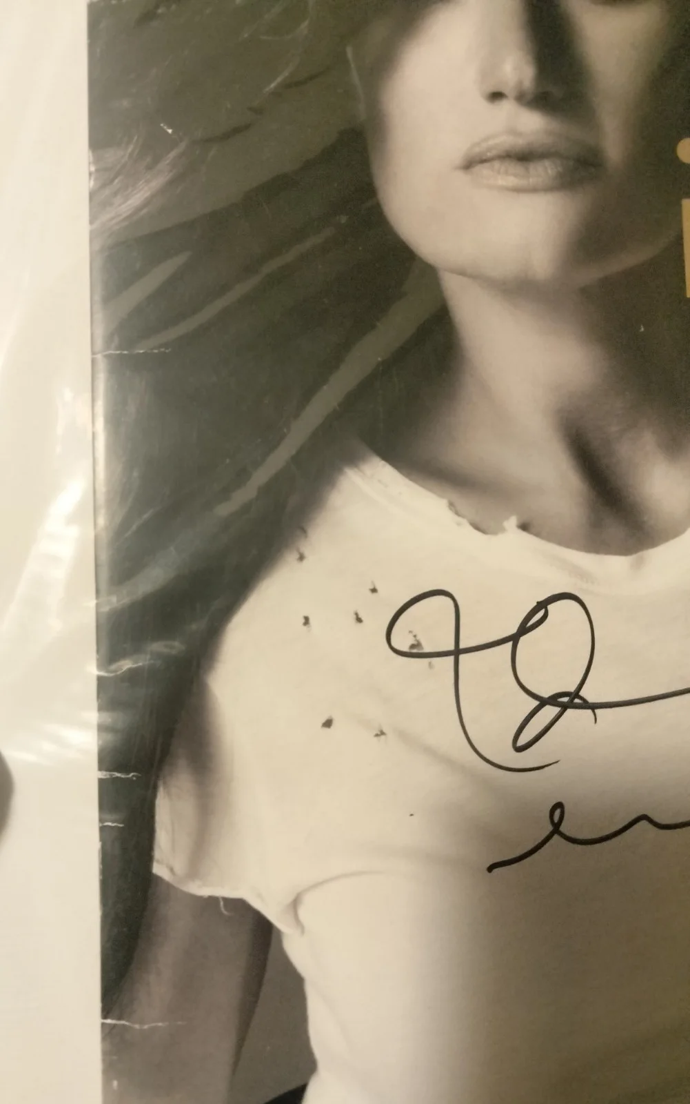 Idina Menzel SIGNED 2017 World Tour Original Program JSA (READ), image 5