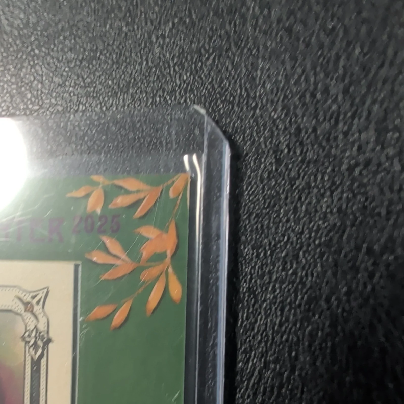 LESLEY ARFIN — LESLEY ARFIN 2025 TOPPS ALLEN & GINTER MINI FRAMED GREEN AUTO /50, image 3