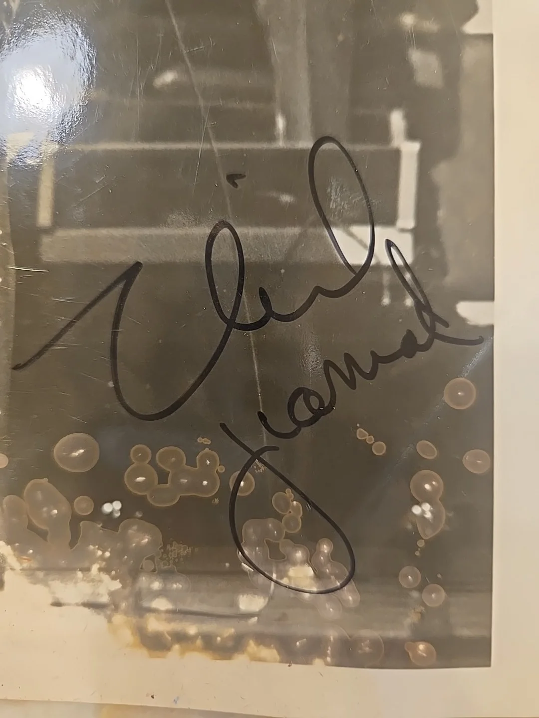 Neil Diamond Autographed 8x10 Photo Hand Signed, image 3