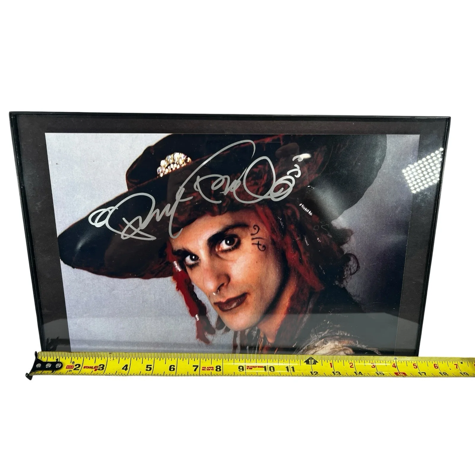 Vintage PERRY FARRELL JANES ADDICTION signed Framed Photo 11 x 17, изображение 4