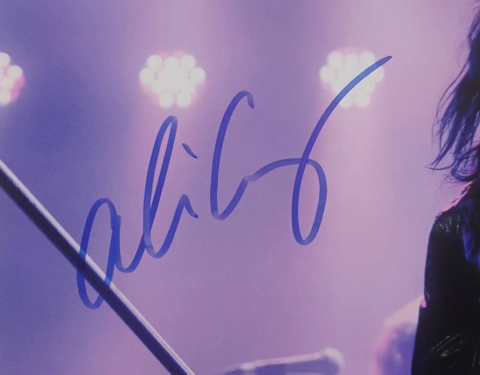 Alice Cooper Hand Signed 8x10 Photo BAS COA - NO US TARIFFS, image 3