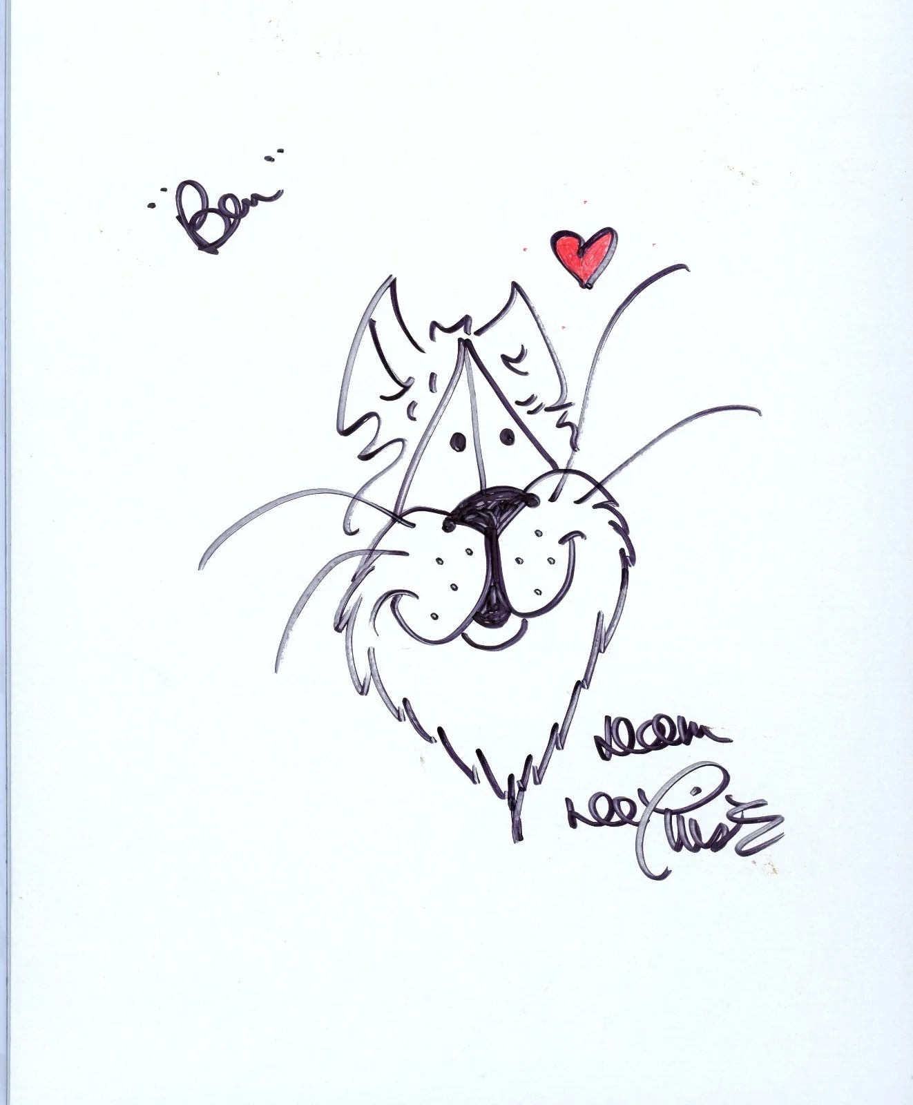 Dom DeLuise — Dom DeLuise Actor Signed Photo Hand Drawn Sketch