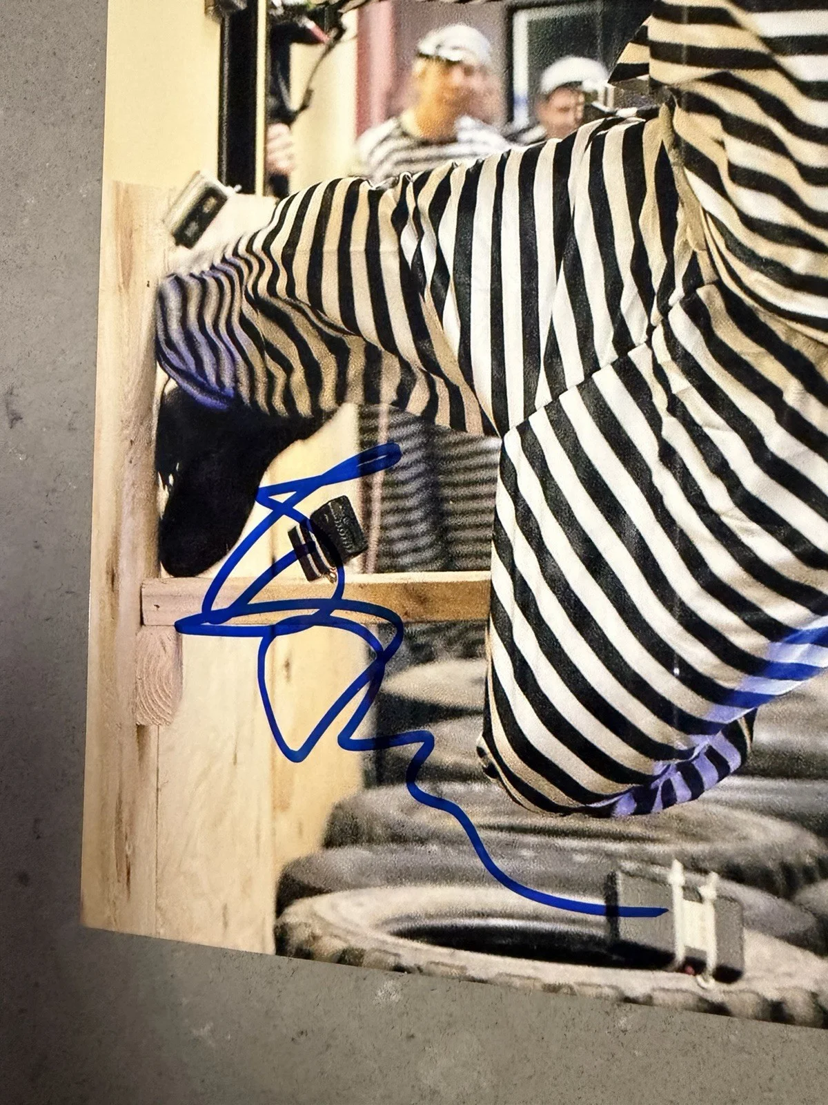 BAM MARGERA JACK ASS MOVIE SIGNED AUTOGRAPH 8X10 PHOTO AUTHENTIC, изображение 2
