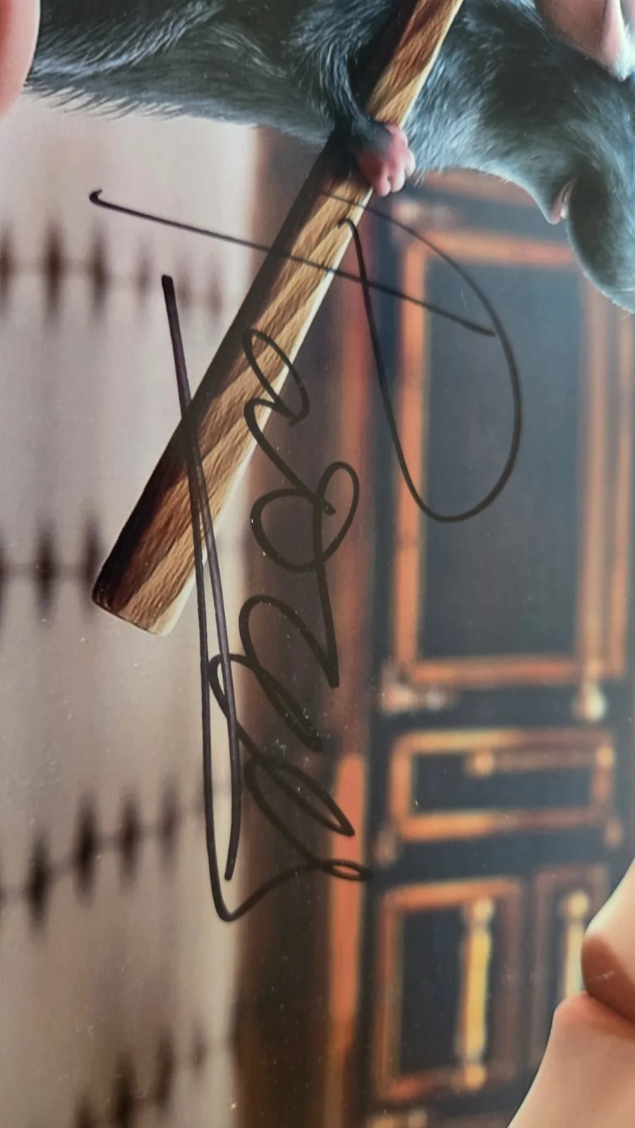 Patton Oswalt Authentic Hand Signed 8x10 Photo Autograph Ratatouille Pixar Disne, изображение 2