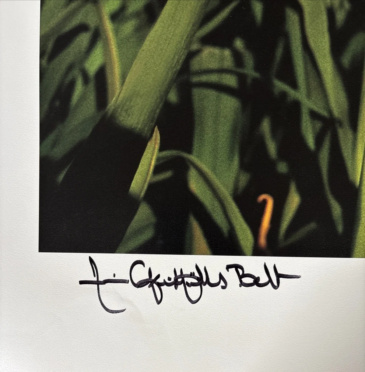 Annie Griffiths Belt — Annie Griffiths Belt Signed Nikon Poster, image 2