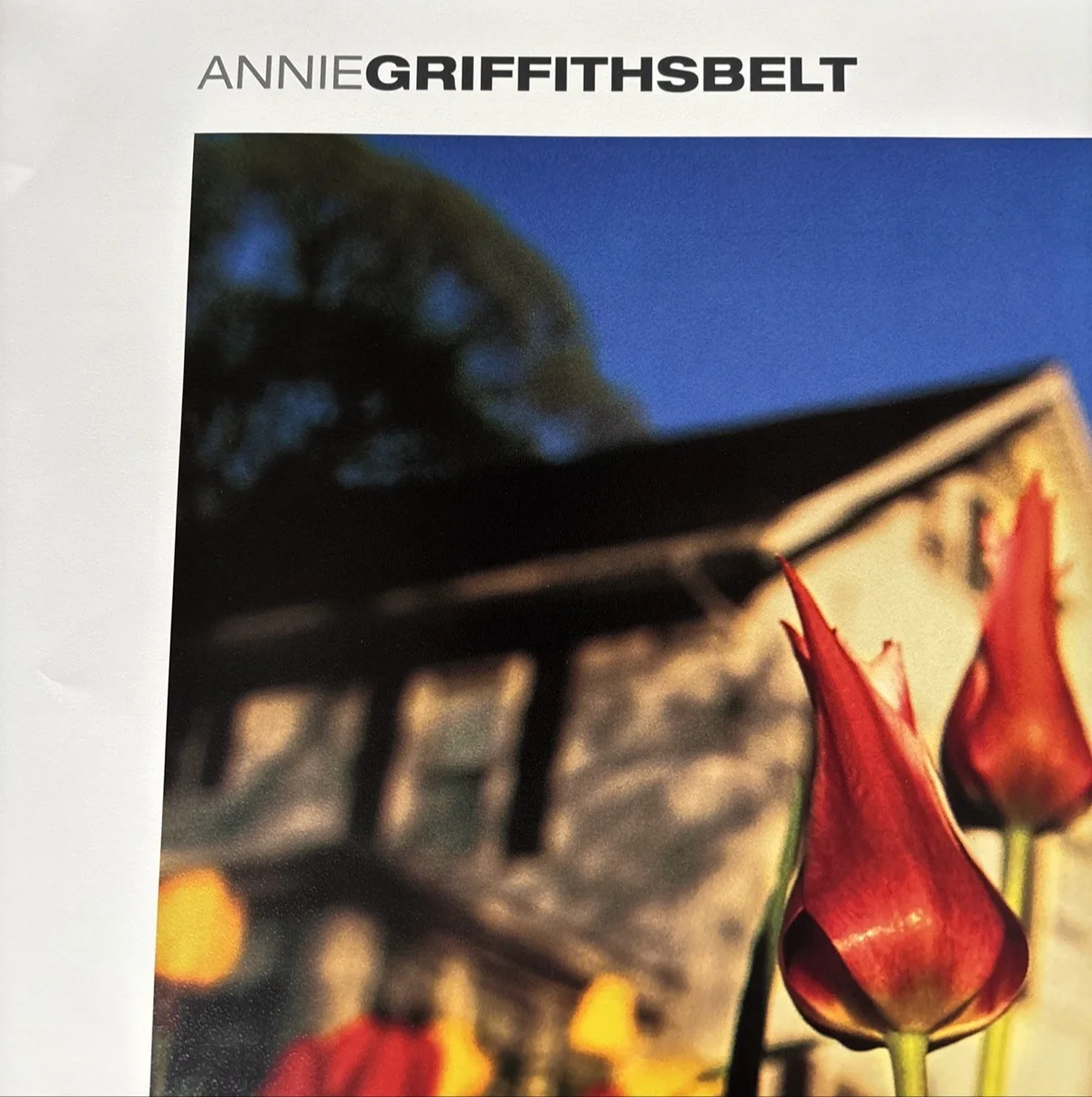 Annie Griffiths Belt — Annie Griffiths Belt Signed Nikon Poster, image 3