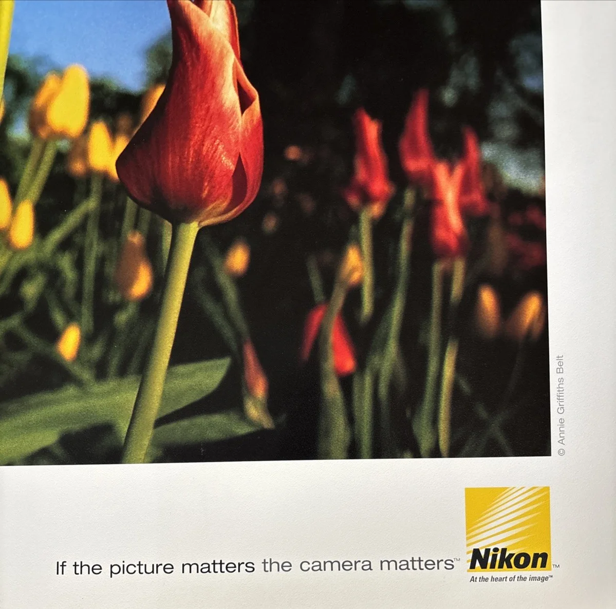 Annie Griffiths Belt — Annie Griffiths Belt Signed Nikon Poster, image 4
