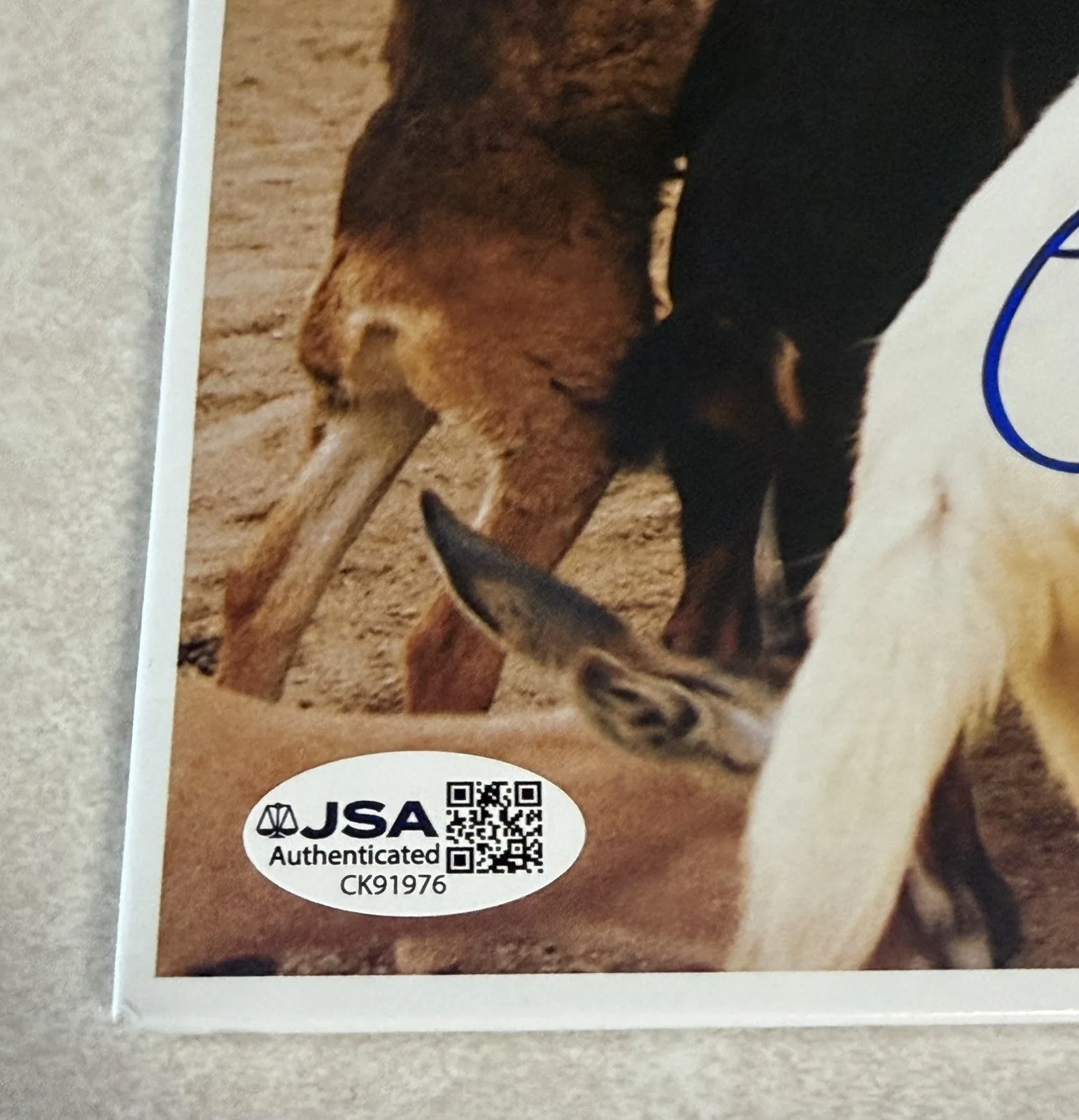 MIKE LOVE THE BEACH BOYS Signed PET SOUNDS VINYL JSA CK91976 AUTHENTICATION, изображение 4