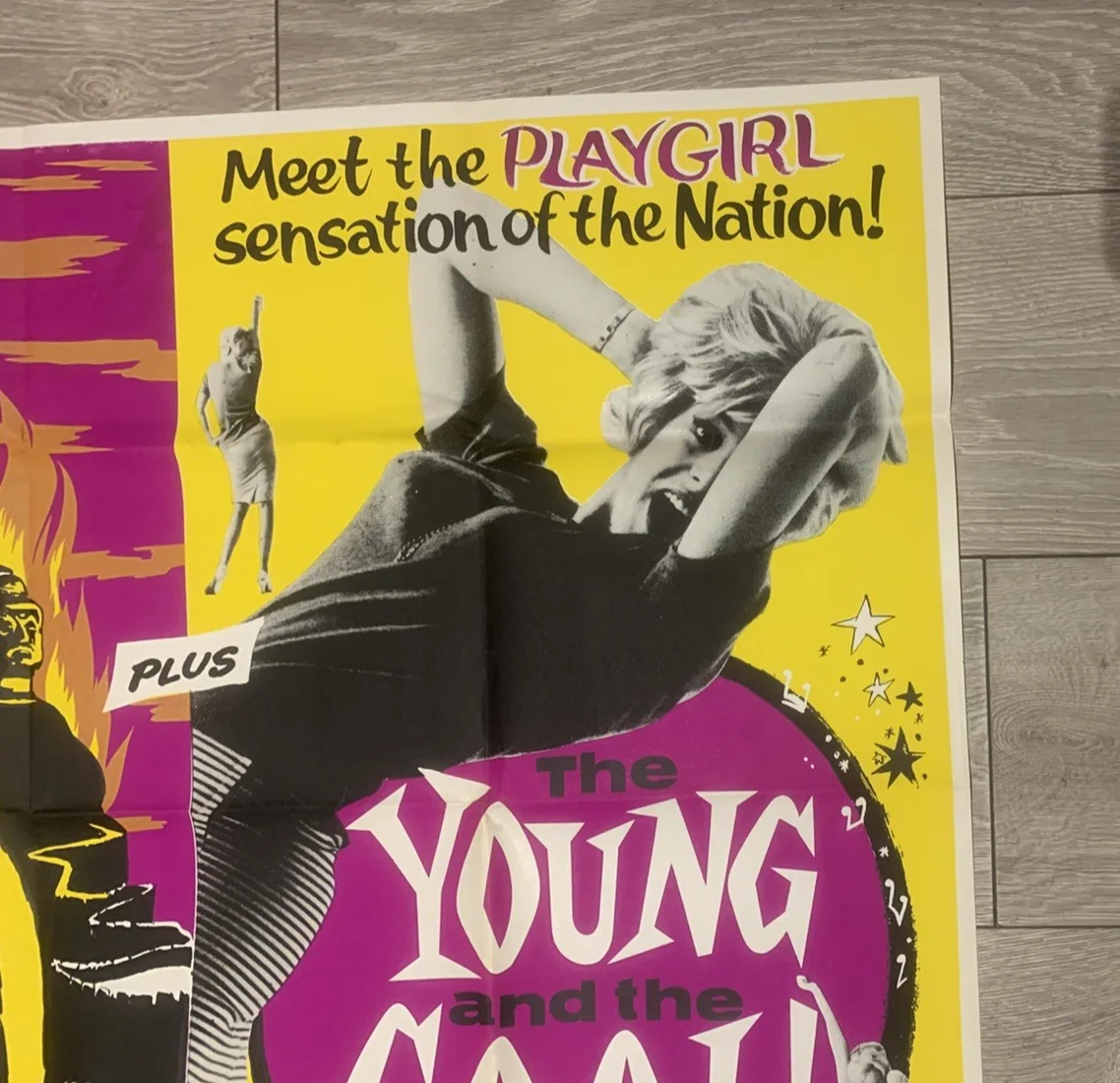 MARCO POLO/THE YOUNG AND THE COOL 1970s ORIGINAL DOUBLE BILL UK QUAD EXCELLENT, изображение 4