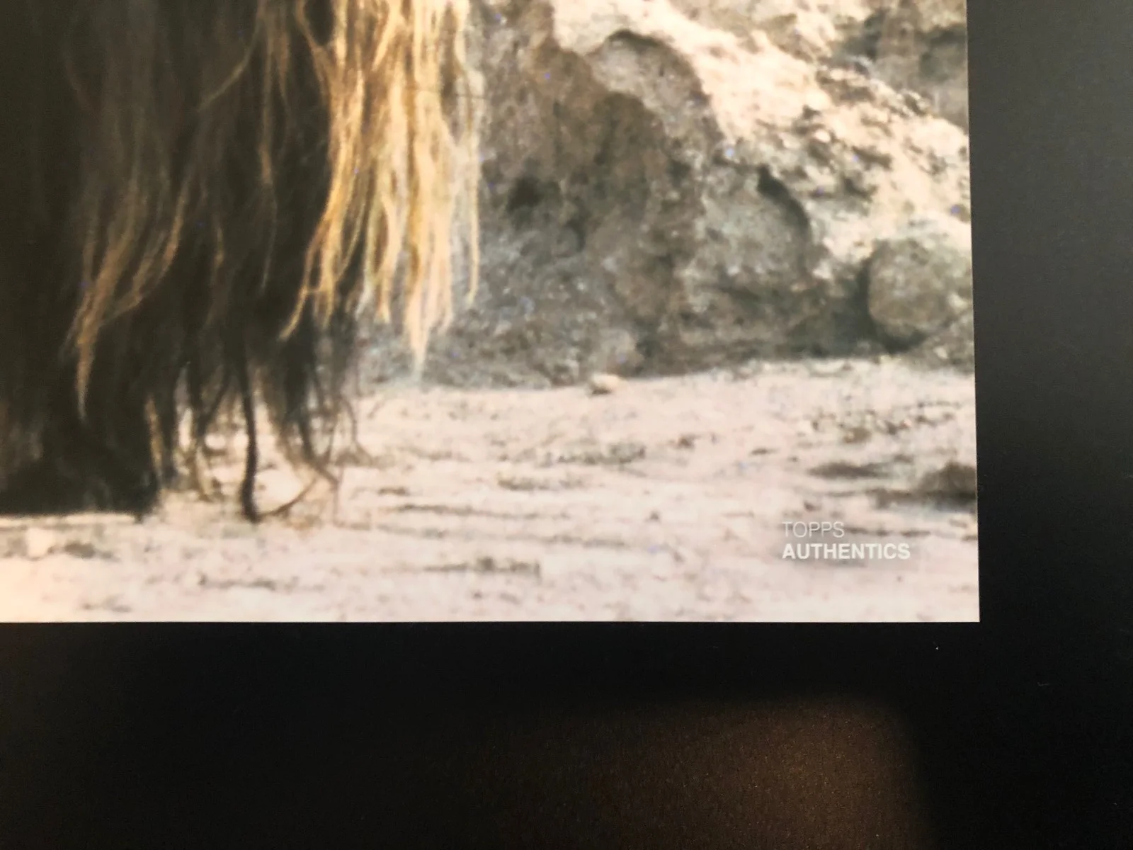 Alan Fernandes — Alan Fernandes Signed TOPPS 11x14 Star Wars EpIV 1977 Tusken Raider Autograph, image 4