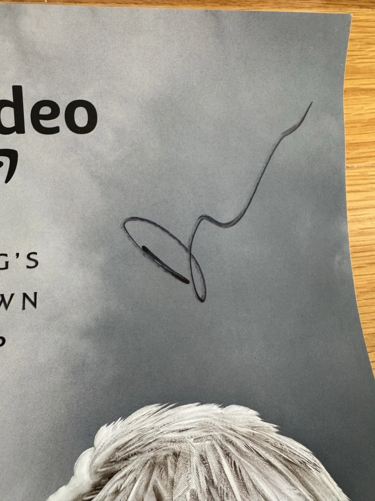 SIGNED Good Omens Season 2 Poster Cast Signed At NYCC 2022 Neil Gaiman, изображение 2