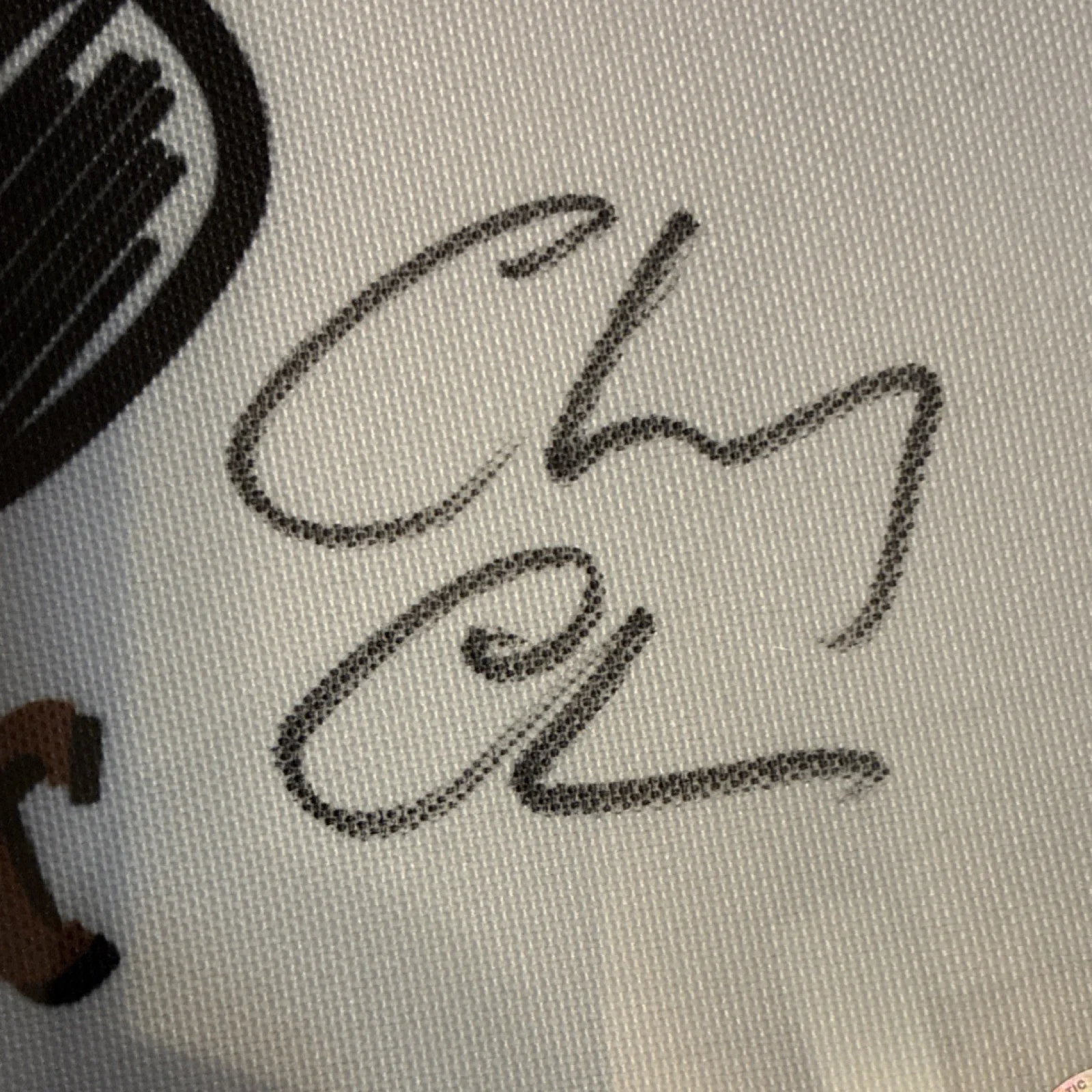 Chevy Chase — Chevy Chase Signed Caddyshack Bushwood Country Club Flag/Banner Beckett Auth, image 2