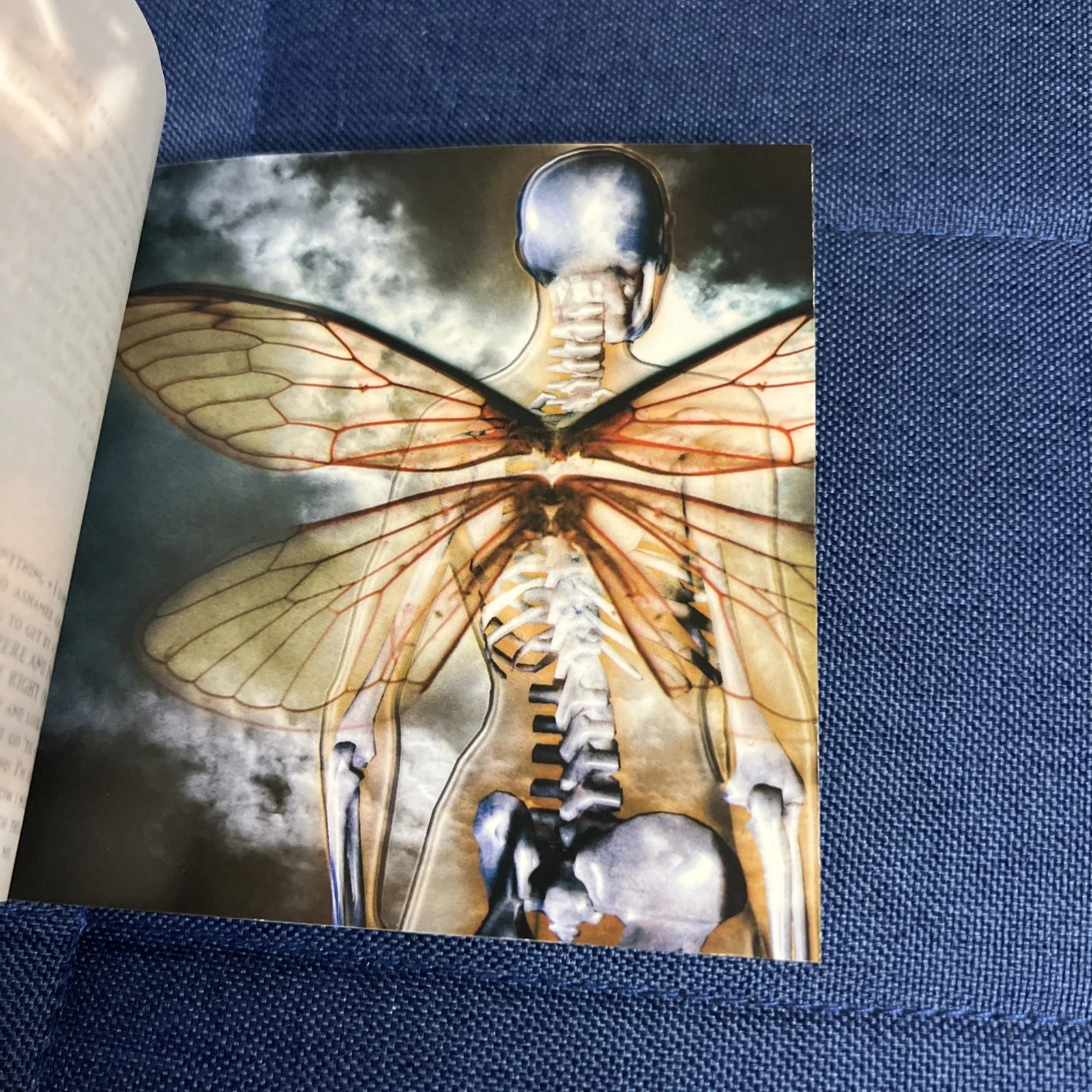 Seether Signed Karma and Effect CD & Booklet 2005 Autographed ￼, image 3