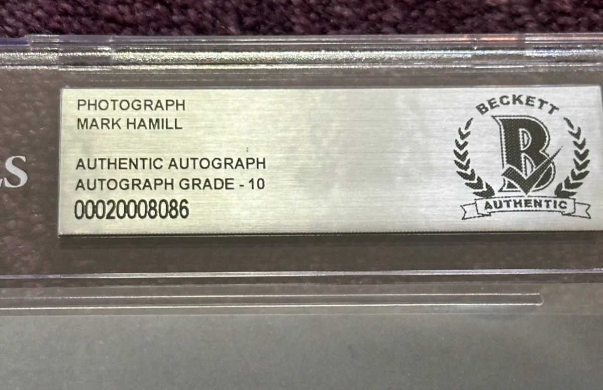 MARK HAMILL — MARK HAMILL Signed STAR WARS 8 X 10 PHOTO Beckett Encapsulated AUTO 10, image 3