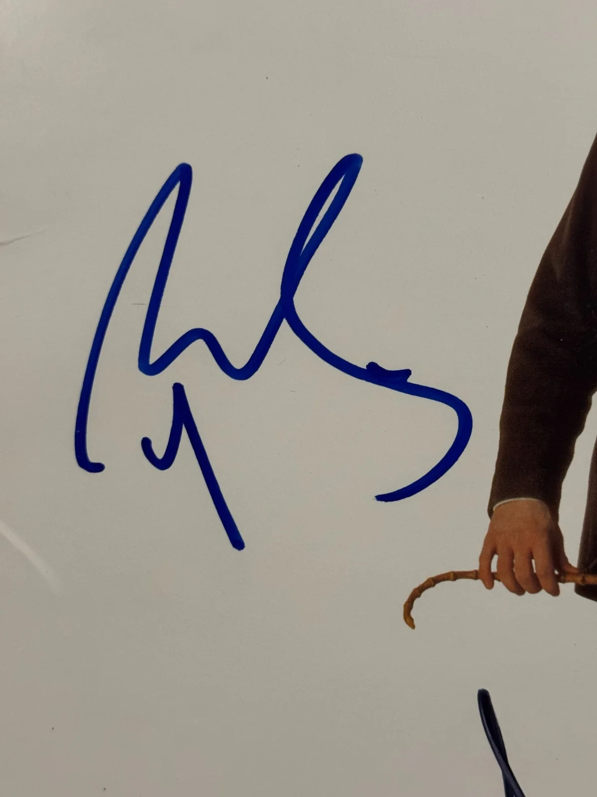 CHAPLIN SIGNED LASERDISC COVER ROBERT DOWNEY JR DAVID DUCHONVY JOVOVICH BAS COA, image 3