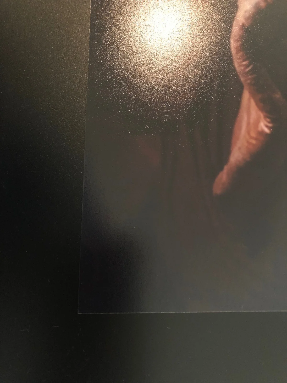 Jon Berg — Jon Berg Signed 11x14 Star Wars EpIV Momaw Nadon "Hammer Head" Cantina Autograph, image 4
