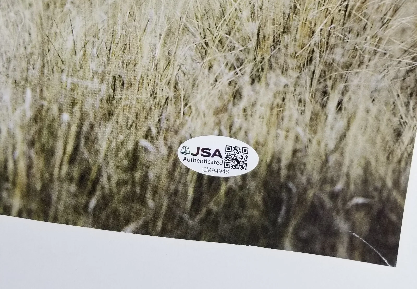 John Mayer hand SIGNED 18x24" Born & Raised 2013 Tour Poster JSA COA Autographed, изображение 3