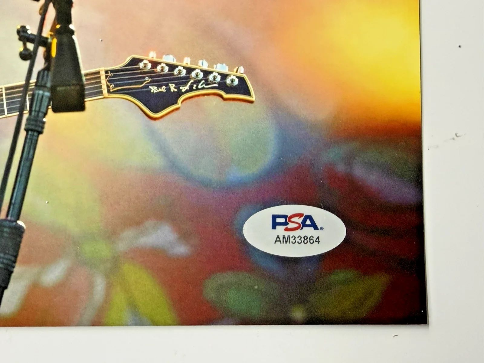 Trey Anastasio Signed 8x10 Photo PSA/DNA COA Phish Autographed Guitar Image, изображение 5
